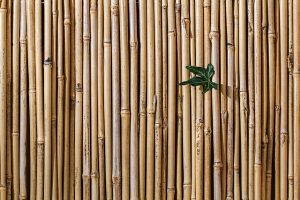 Dekoratív bambusz kerítés